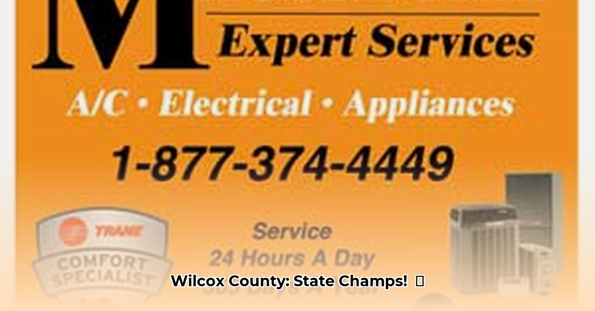 dodge-county-news-eastman-georgia